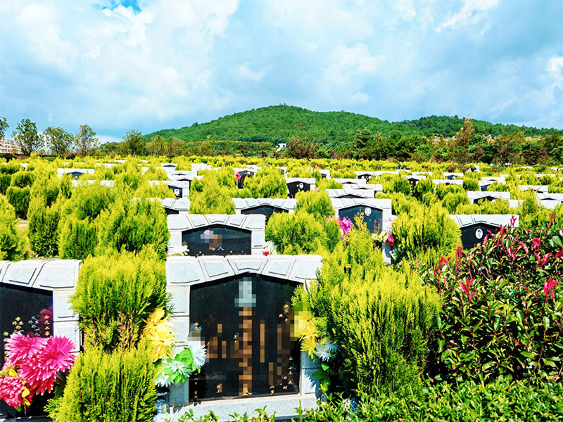公墓：静谧的安息之地
