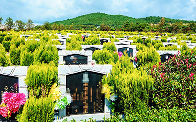 公墓：静谧的安息之地!