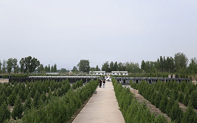 公墓的优势及选择公墓的重要性