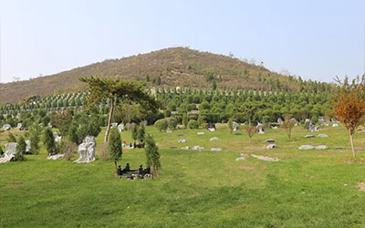 公益墓地和经营墓地之间有何区别？