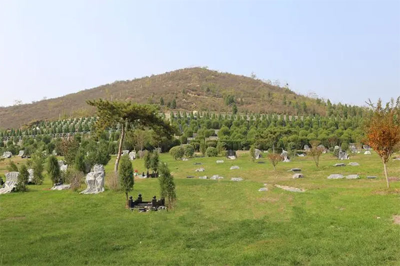 公益墓地和经营墓地之间有何区别