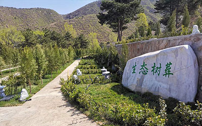 树葬是怎样的葬法，全部费用大概多少钱