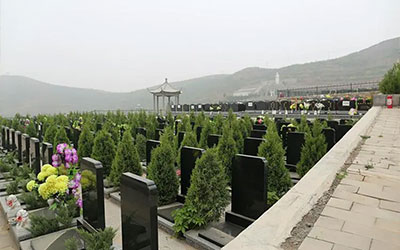 公益性和经营性墓地有什么本质区别？