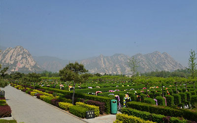 墓地动土需要注意什么吗？