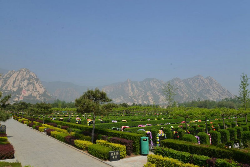 墓地动土需要注意什么吗