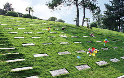 入土为安，绿色殡葬