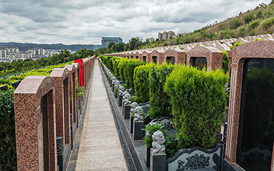 选墓注意事项，如何预约免费选墓专车？