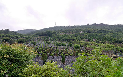 选择昆明墓地看四象