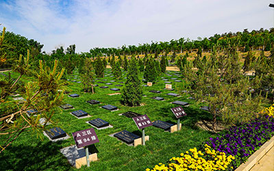 绿色殡葬对生命最好的尊重