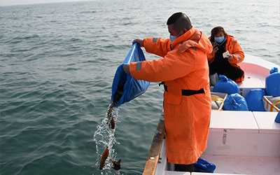 下葬后为何要放生？