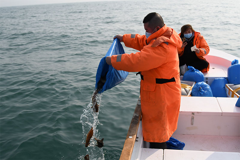 下葬后为何要放生 下葬后为何要放生
