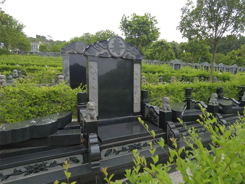 墓地长桑树有何主要喻意 墓地长桑树有何主要喻意