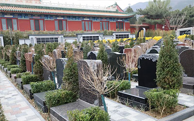 房子后面有墓地怎么破解