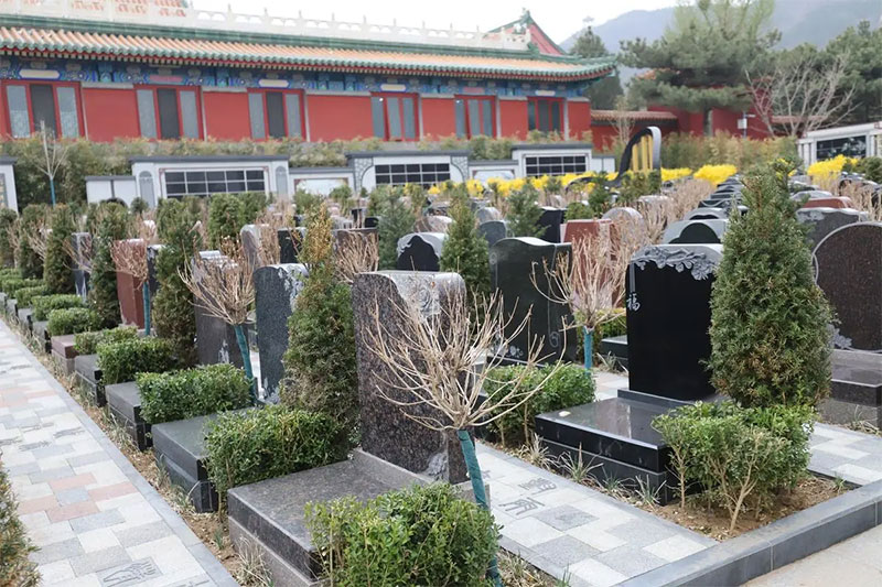 房子后面有墓地怎么破解