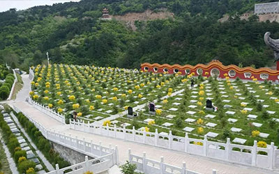 详谈墓地的吉和凶怎么看