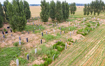 农村坟地怎样完善？