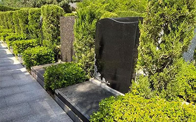 坟地最好的七种坐向