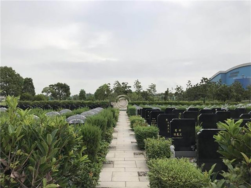 墓地动土和禁忌的三条