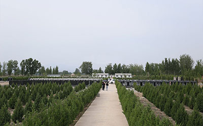 墓地周边环境有什么禁忌