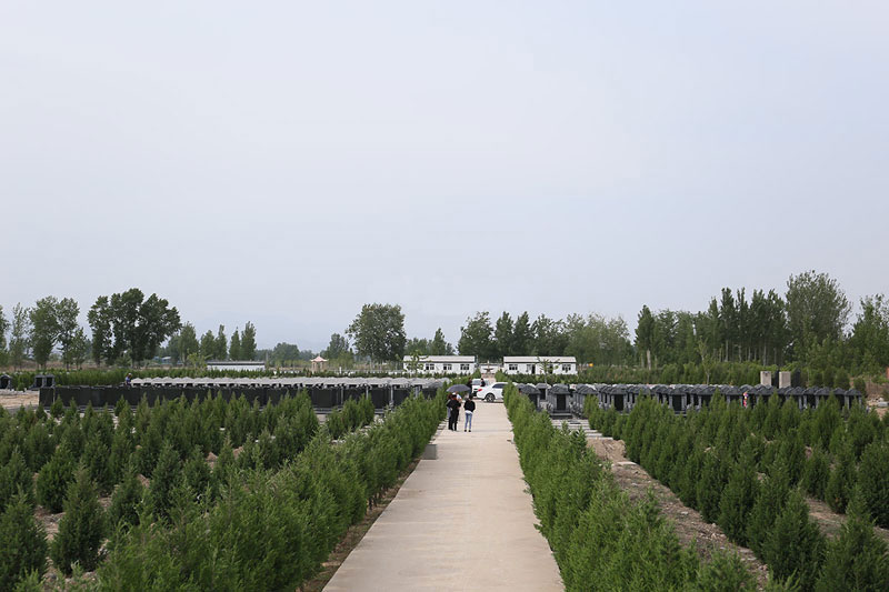 墓地周边环境有什么禁忌