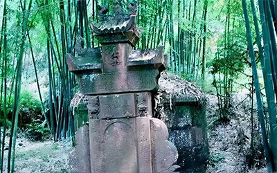 墓地上长竹子好不好，又该如何处理？