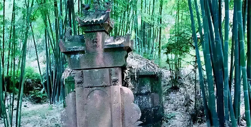 墓地上长竹子好不好，又该如何处理？