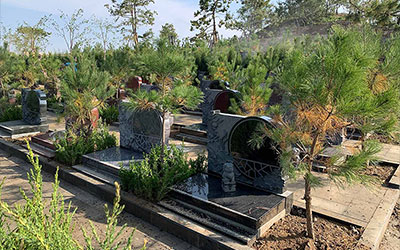 墓地注意事项与知识大全