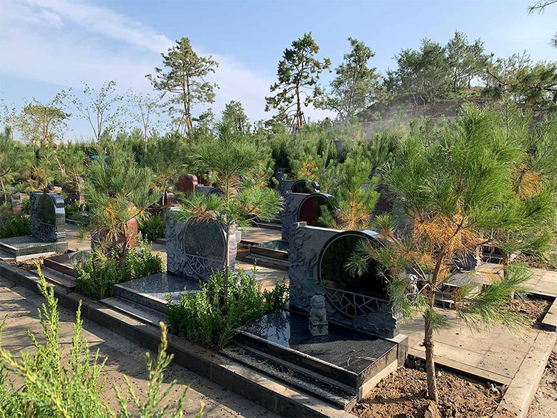 墓地注意事项与知识大全