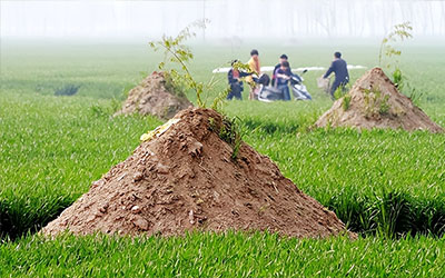 墓园迁坟的那些事儿