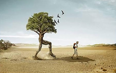 人挪活树挪死有什么含义