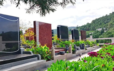 先祖的墓地要定期维护，又该如何维护呢？