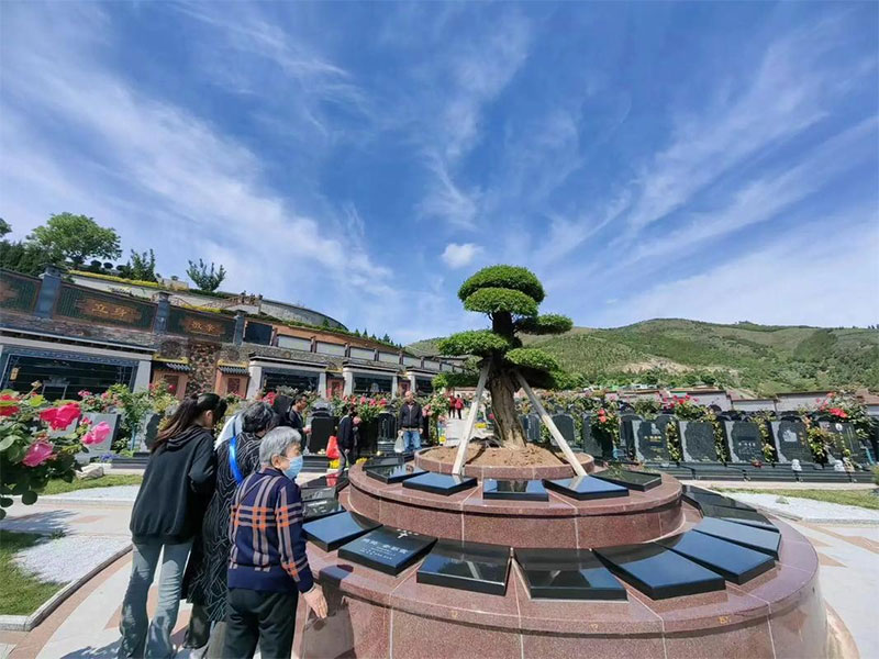 生命的宁静归宿与人文关怀 生命的宁静归宿与人文关怀