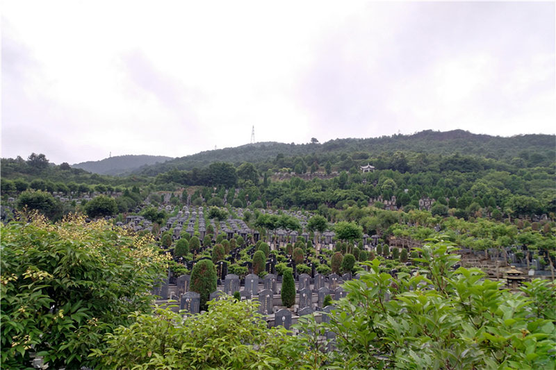 陵园和公墓的区别是什么