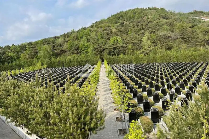 什么公共墓地风水好?墓地风水的讲究有哪些? 什么公共墓地风水好?墓地风水的讲究有哪些?