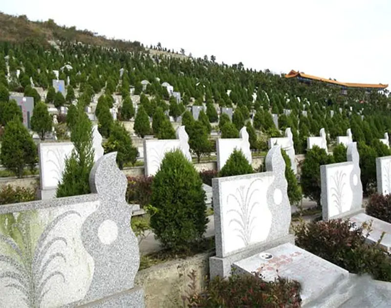 坟开始发的兆头，有好兆头的样子