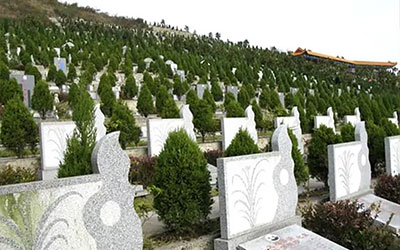 坟开始发的兆头，有好兆头的样子