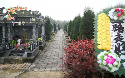 看坟地五口诀，怎么看才会比较准