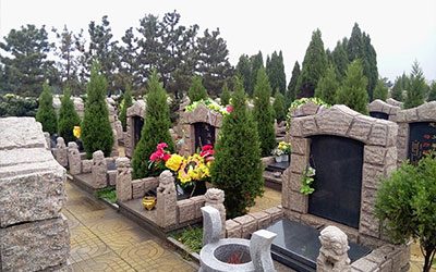 怎么看出坟地出问题？有什么方法？