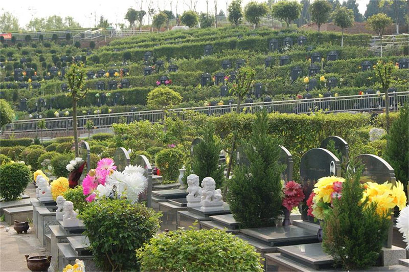 祖墓被挖怎么处理?如何化解? 祖墓被挖怎么处理?如何化解?