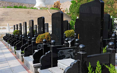 蛇进坟墓，祖坟有蛇旺哪一代？