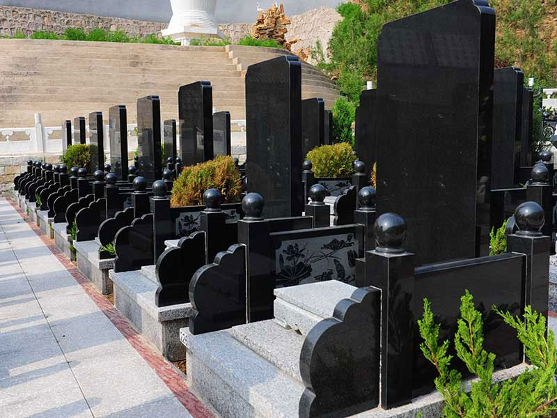 蛇进坟墓，祖坟有蛇旺哪一代