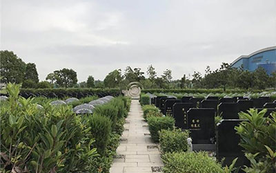 坟上不长草后代必出什么人