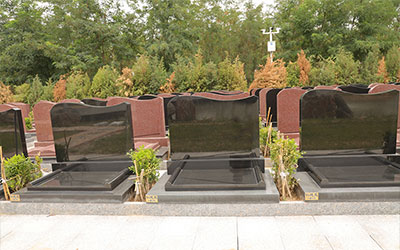 墓地栽什么树好？墓地种什么树好？