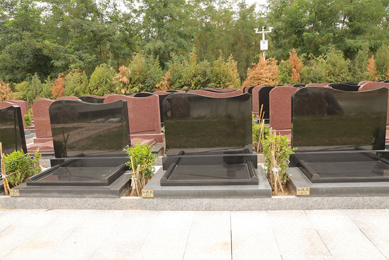 墓地栽什么树好？墓地种什么树好？