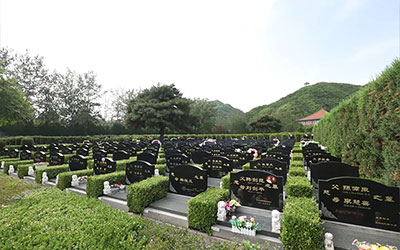 葬中吉地有什么征兆？风水宝地下葬异象