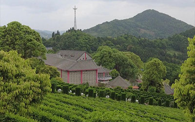 坟墓风水对后人的影响有什么说法