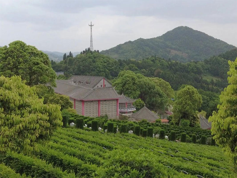 坟墓风水对后人的影响有什么说法 坟墓风水对后人的影响有什么说法