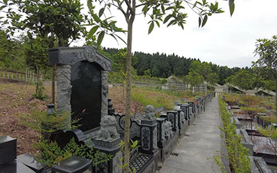 墓葬风水学易经有哪些？坟地风水知识大全