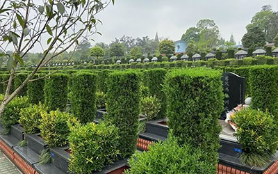 公墓风水如何看旺衰？公墓风水好坏