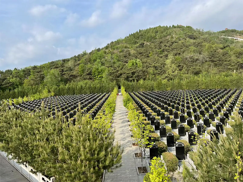 坟地人丁旺不旺怎么看?这三种坟地风水好 坟地人丁旺不旺怎么看?这三种坟地风水好